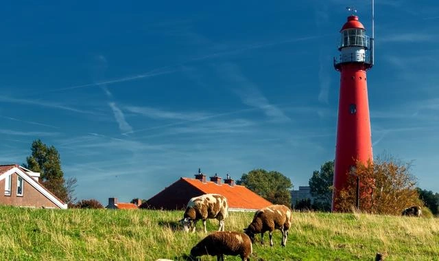 Hoek van Holland – färjehamn och destinationsguide