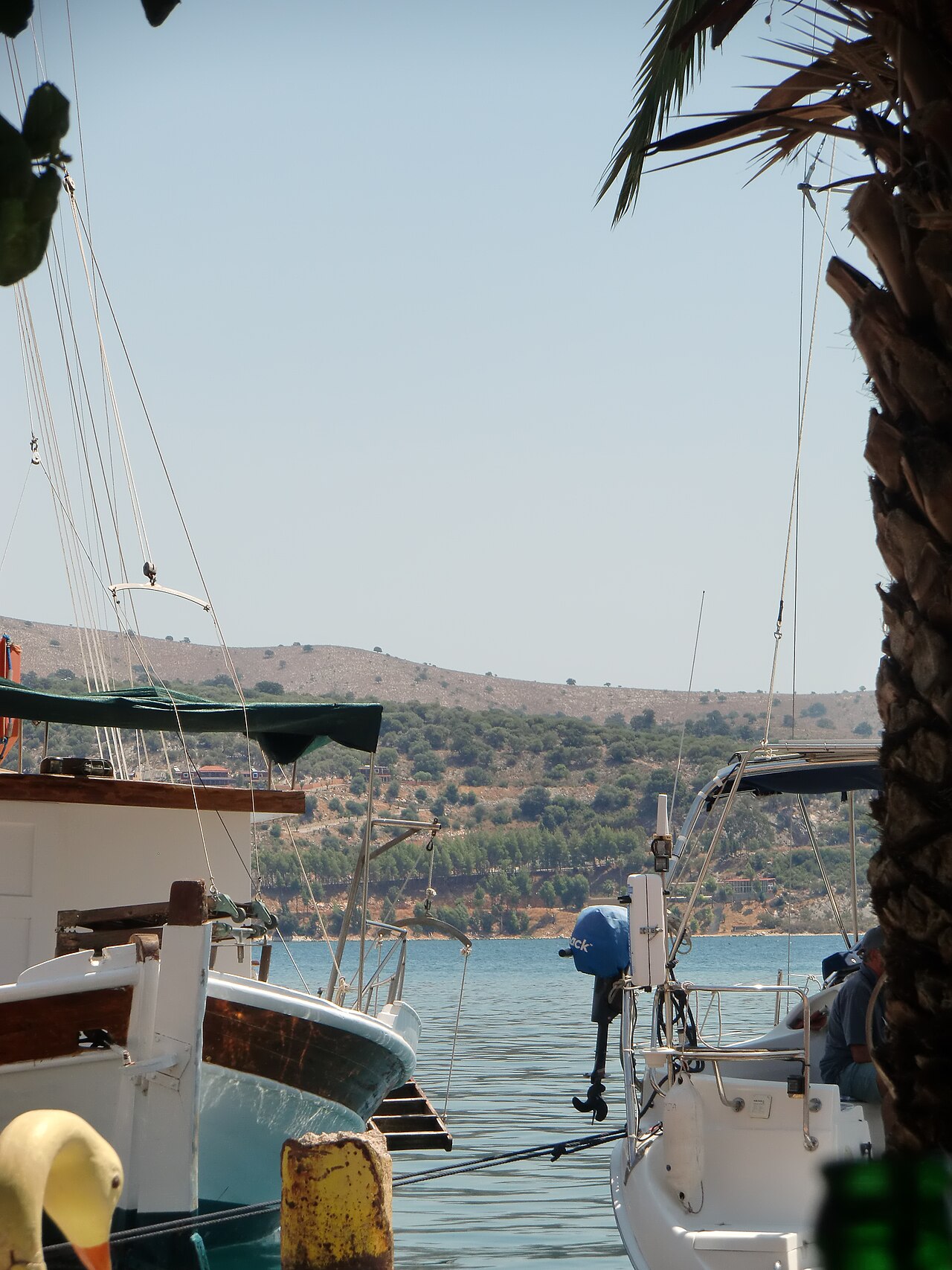 Astakos